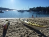 p1010247.jpg