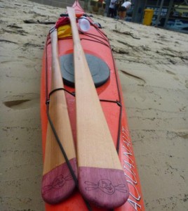Rock Garden Series by Adanac Paddles