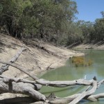 Darling River, NSW Outback (Flickr Credit: Parkaboy)