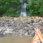 Waterfalls hidden in the green bushland, seen from the oyster beds