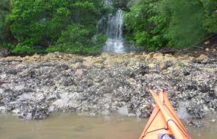 Waterfalls hidden in the green bushland, seen from the oyster beds Waterfalls hidden in the green bushland, seen from the oyster beds