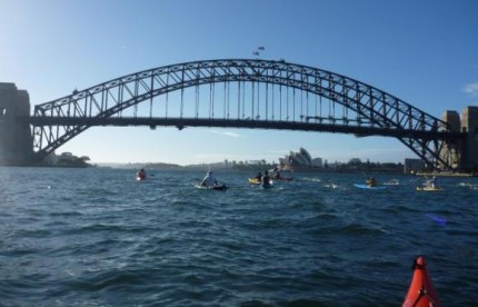 Swimmers and paddler-escorts start the Bridge to Beach