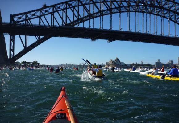 And we're off! Hundreds or paddles churn up the Harbour.