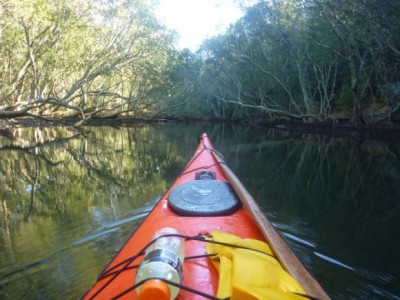 Moving into the start of the creek