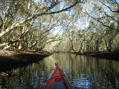 Like paddling through an enchanted forest