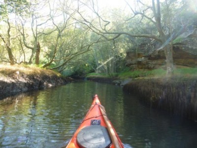 Getting deeper up the creek