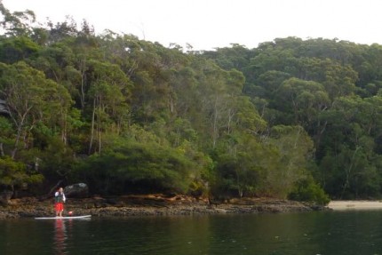 A lone SUP heading into Flat Rock Beach