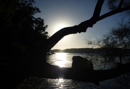 Just a random artsy shot I took from the beach