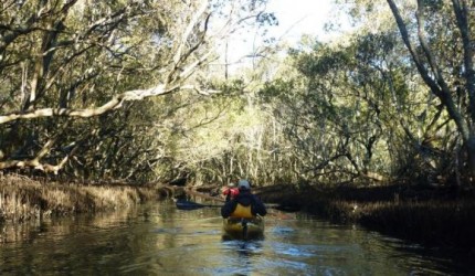 Inside Scotts Creek