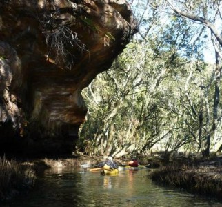 The overhang, Scotts Creek