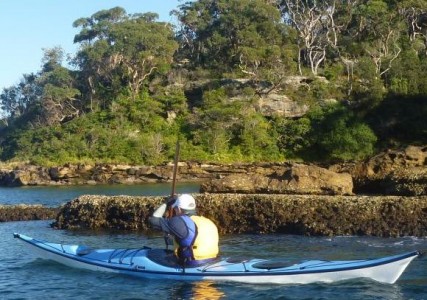 Exploring the Harbour's northern shoreline