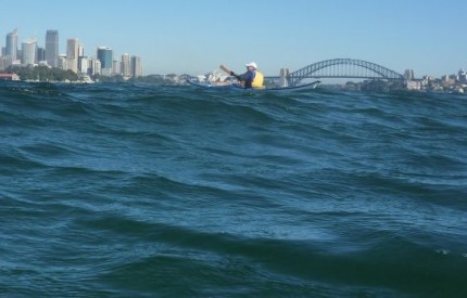 Even harbour's get swell and waves. Good fun to play in!