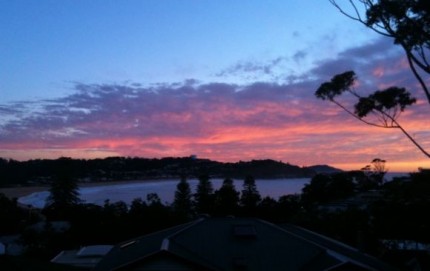 Morning glory at Avoca Beach