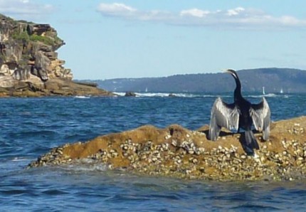 The locals were enjoying the mid-winter sunshine too.