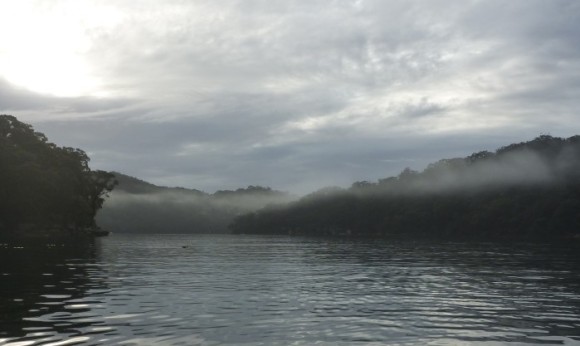Dawn mists across Middle Harbour. A magical time of the day.