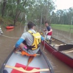 The stranded horse and paddlers to the rescue