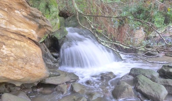 One of the Middle Harbour waterfalls we found