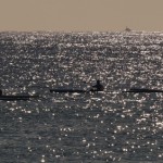 Surfski paddlers on the horizon on an early-morning training run down along the northern beaches